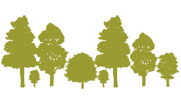 Elemento-decorativo-bosque