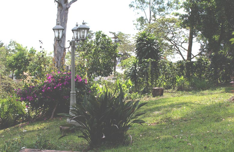 Mantenimiento-a-jardines