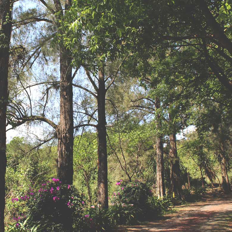 Paisaje